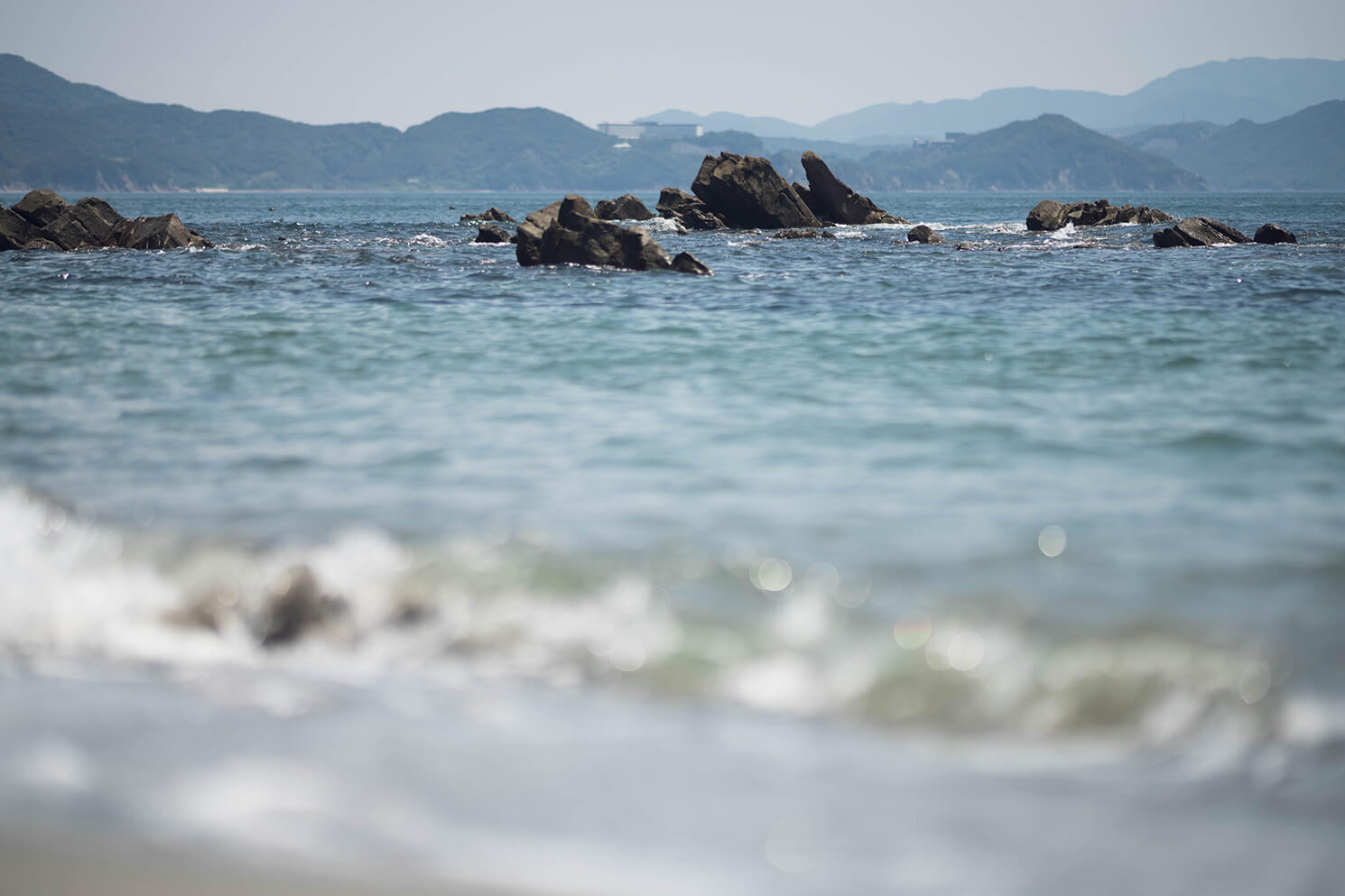 135mmF1.8の中望遠単焦点レンズで撮影