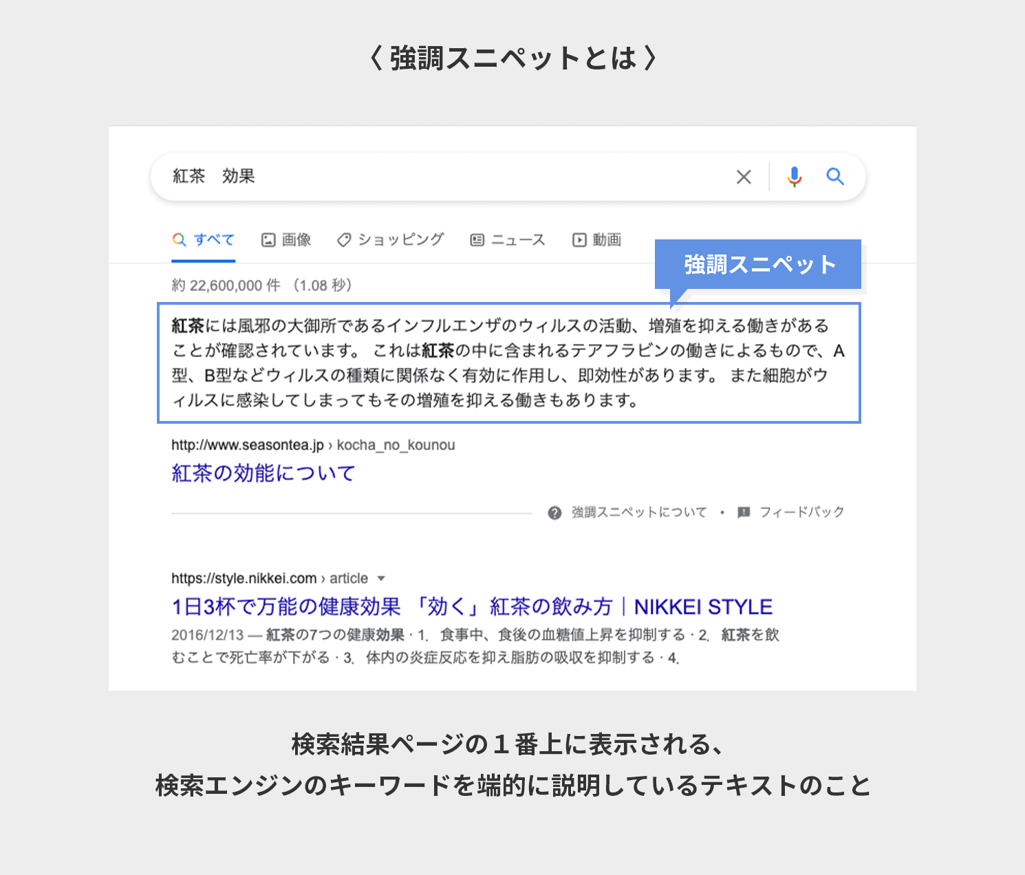 強調スペニットとは