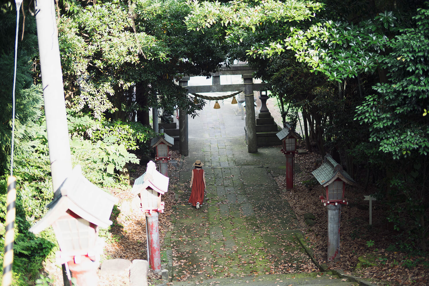 神社の階段の上から撮影した鳥居に向かって歩く女性