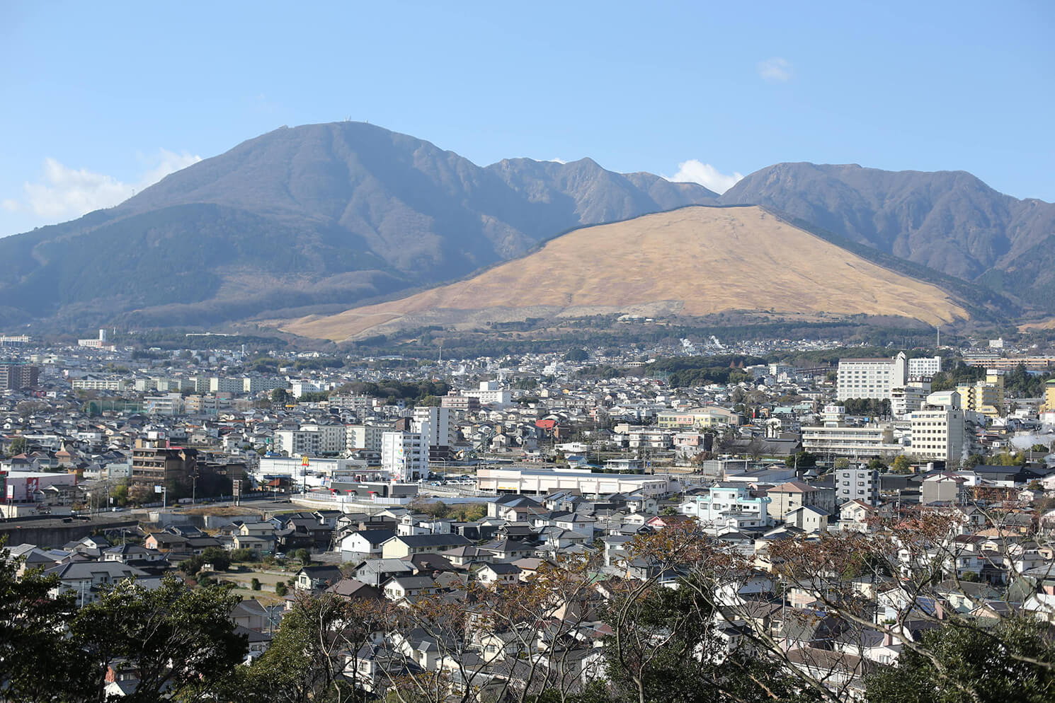 別府温泉全景