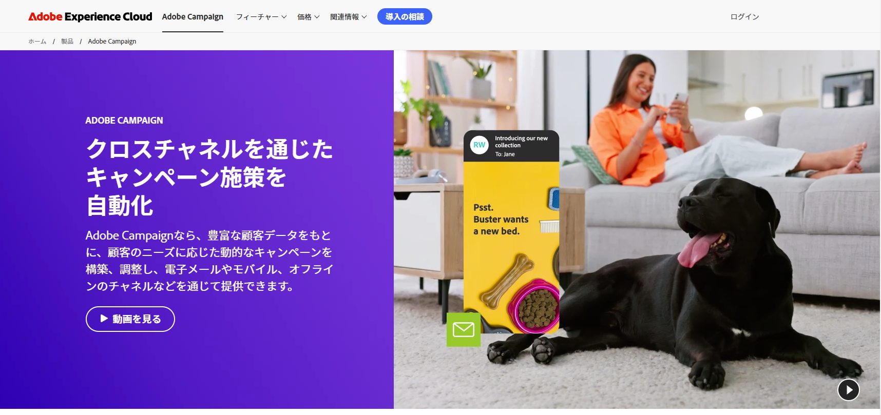 Adobe-Campaign1-2025-03-03-102307